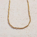 Carrabella Chain Necklace