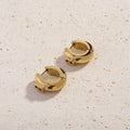 Nicolien Earrings